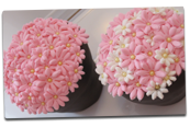 Flower Cupcakes